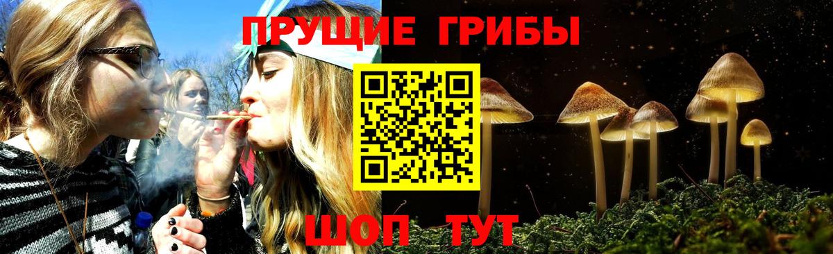 Псилоцибиновые грибы MAGIC MUSHROOMS Полевской