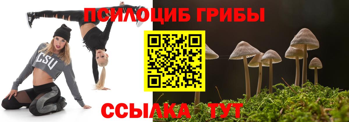Полевской  Псилоцибиновые грибы GOLDEN TEACHER  Вход с VPN 